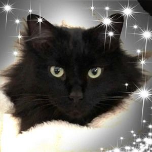 Meet your Posher, Natalie